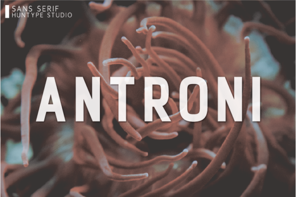 Antroni Font: A Modern Typeface for Digital Branding