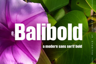 Balibold Font: A Bold, Versatile Typeface for Real-World Branding