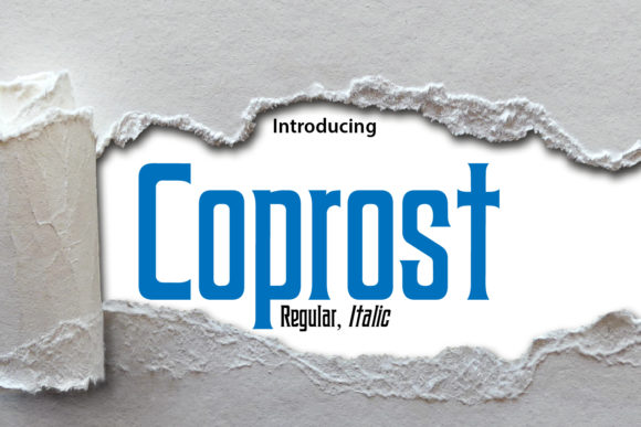 Coprost Font: A Bold Serif for Crafters and Creative Sellers