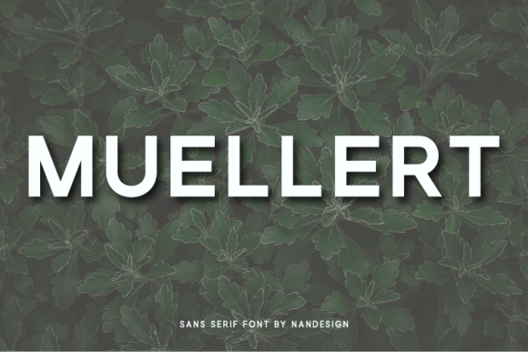 Muellert Font: A Bold Typeface for Makers and Creators