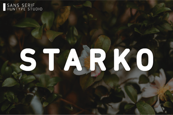 Starko Typeface: A Fresh Take on Bold, Clean Typography