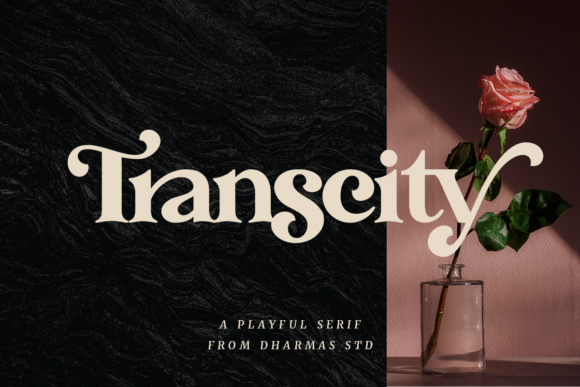 Transcity Font: A Bold Serif for Powerful Branding